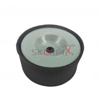 Air cleaner element assy(170)