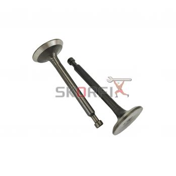 Exhaust valve
